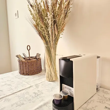 Aires De - 2 - Reformado * Gijon